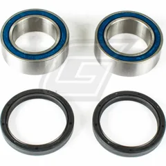 wheel bearing kit for DS450 '14-15