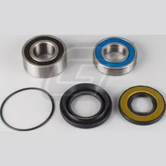 Radlager Set für LT-F250 Ozark '02-14 35504393