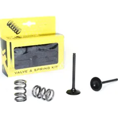 steel exhaust valve/spring kit for LT-R450 '06-11
