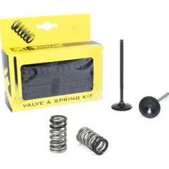 steel intake valve/spring kit for KTM250SX/EXC-F '08-12