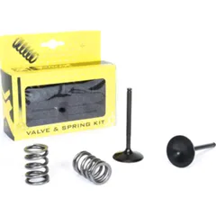 steel intake valve/spring kit for LT-R450 '06-11