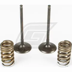steel intake valve/spring kit for RM-Z250 '07-20
