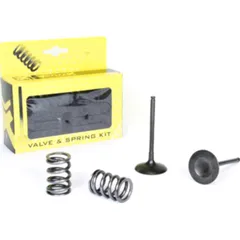 steel intake valve/spring kit for RM-Z450 '05-06