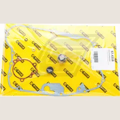 water pump rebuild kit for KSF250 Mojave '87-04