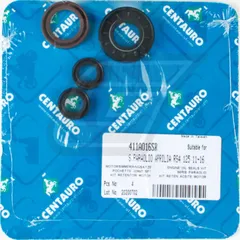 Motor gaskets set 411A016SR
