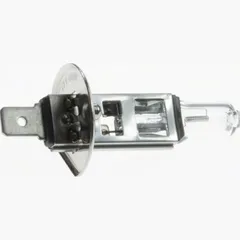 Glühbirne, Birne Glühlampe 12V 100W P14,5s H1 (1 St.) E-Geprüft