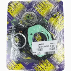Full gaskets set 574A401FL