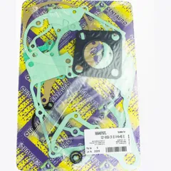 motor gasket set 666A076FL