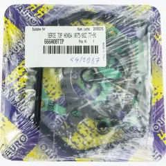 cylinder gasket set / 666A087TP