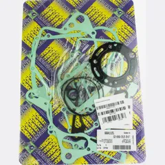motor gasket set 666A111FL