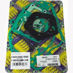 motor gasket set 666A136FL