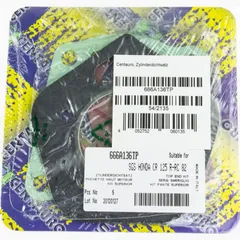 Top gaskets set 666A136TP