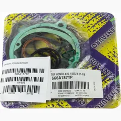 Top gaskets set 666A187TP