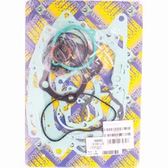 motor gasket set 666A200FL