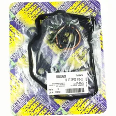 Top gaskets set 666A246TP