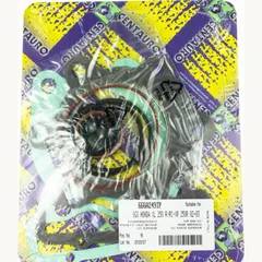 Top gaskets set 666A249TP