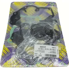 Top gaskets set 666A253TP