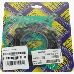 Top gaskets set 666A255TP