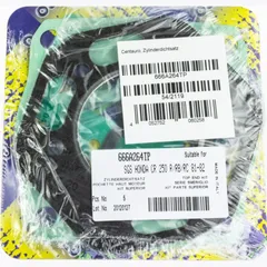 Top gaskets set 666A264TP