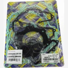 motor gasket set 666A509FL-A