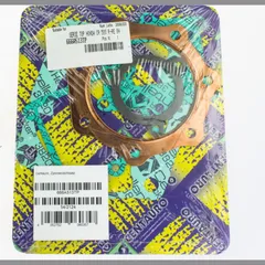 Top gaskets set 666A513TP