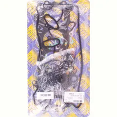 Full gaskets set 666A951FL