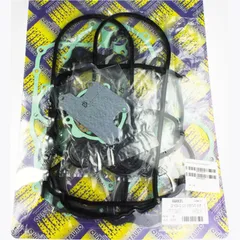 gasket set motor 666A983FL