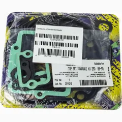 Top gaskets set 722A255TP