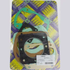 Top gaskets set 731A252TP