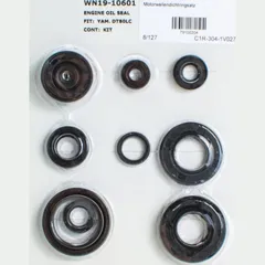 Motor oil seal set 79100204