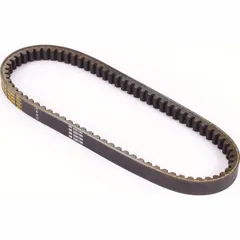 Antriebriemen, Zahnriemen L768xB19,3 Power Plus Keilriemen Aramid verstärkt
