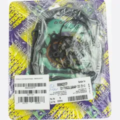 cylinder gasket set / 666A256TP 880A029TP