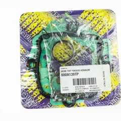 cylinder gasket set 880A139TP