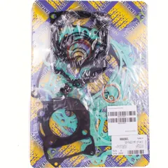 Full gaskets set 880A206FL
