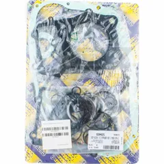 Full gaskets set 933A462FL