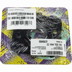 Top gaskets set 990A082TP