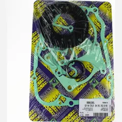 Full gaskets set 990A129FL