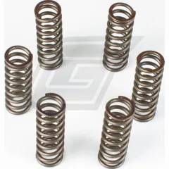 Premium clutch spring kit CSK037
