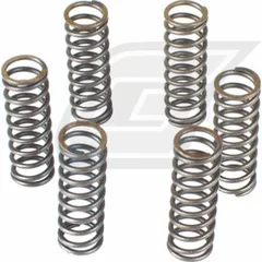 Premium Kupplungsfedern-Kit CSK043