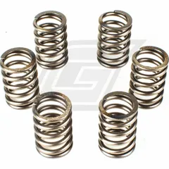 Premium clutch spring kit CSK114