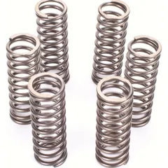 Kupplungsfedernsatz Premium Kupplungsfedern-Kit CSK119