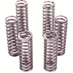 Premium clutch spring kit CSK126