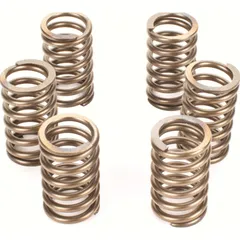 Premium clutch spring kit for: KTM CSK129