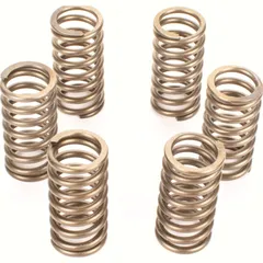 Premium clutch spring kit CSK136