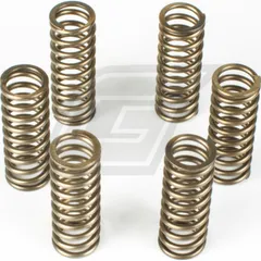 Premium Kupplungsfedern-Kit CSK145