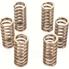 Premium clutch spring kit for: KTM CSK210