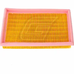 Luftfilter (original) DVAP8104169