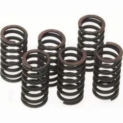 Kupplungsfeder 2T 4T -04 250 310 -13 ve6