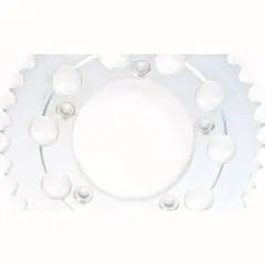 PBR steel rear sprocket 520 - 39T