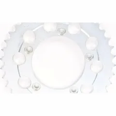 PBR steel rear sprocket 520 - 41T